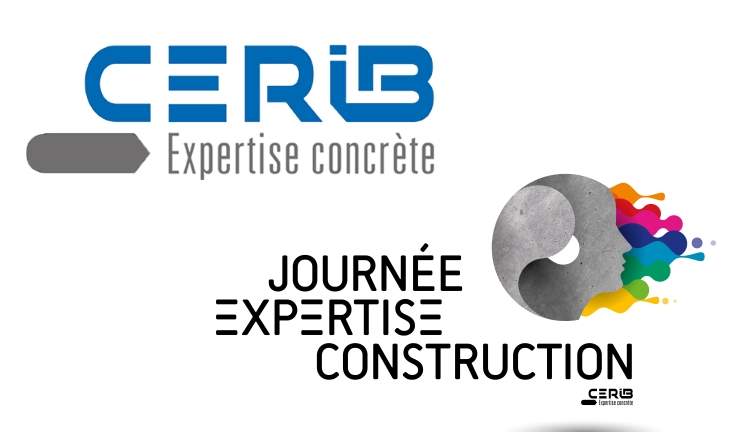 affiche illustration retours-sur-la-journee-expertise-construction-du-cerib