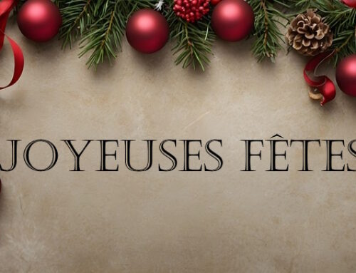 L’équipe datBIM vous souhaite de Joyeuses Fêtes et vous propose une rétrospective de cette année 2025